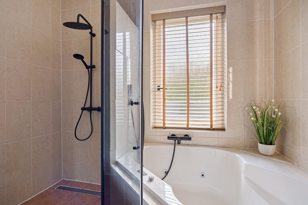 Foto 26 van Grijze Kraai 25