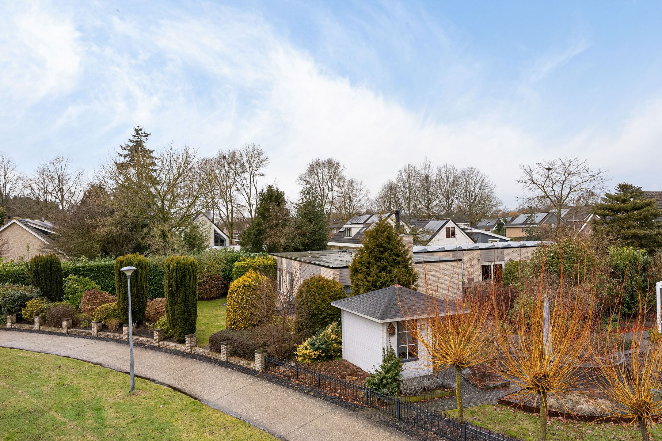 Foto 33 van Grijze Kraai 25