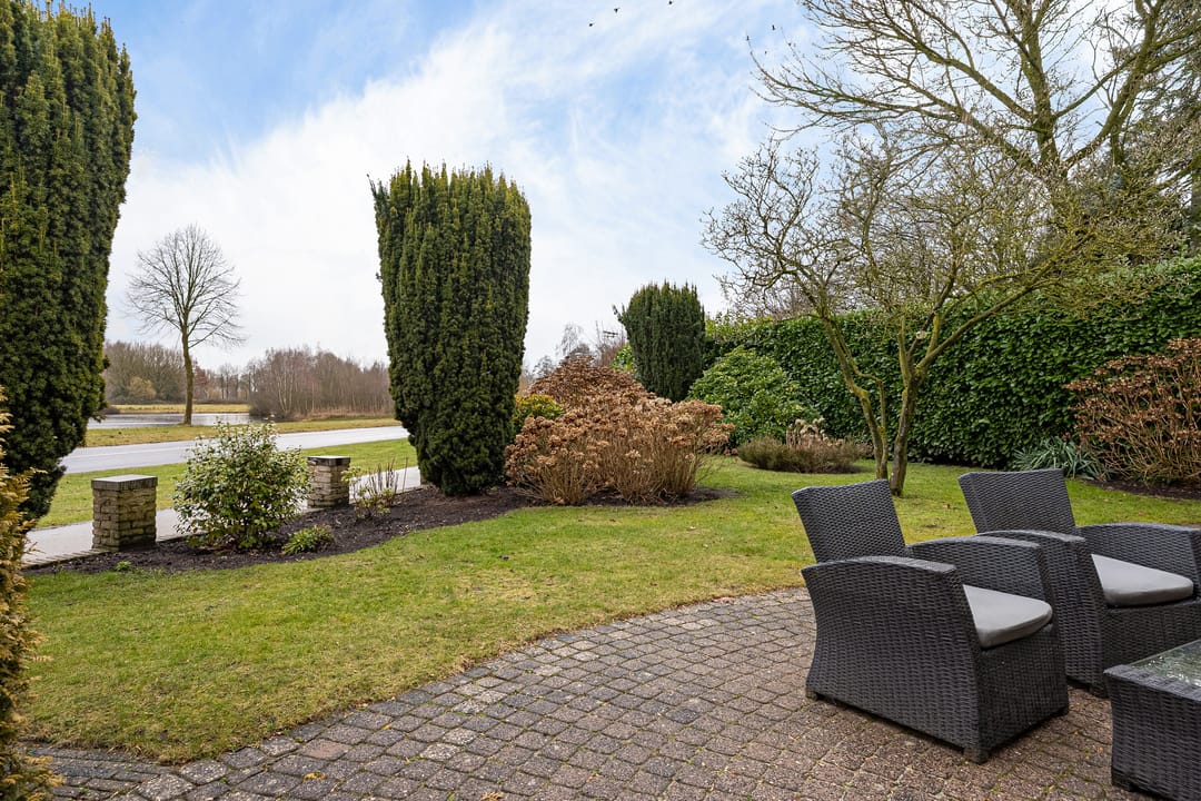 Foto 32 van Grijze Kraai 25