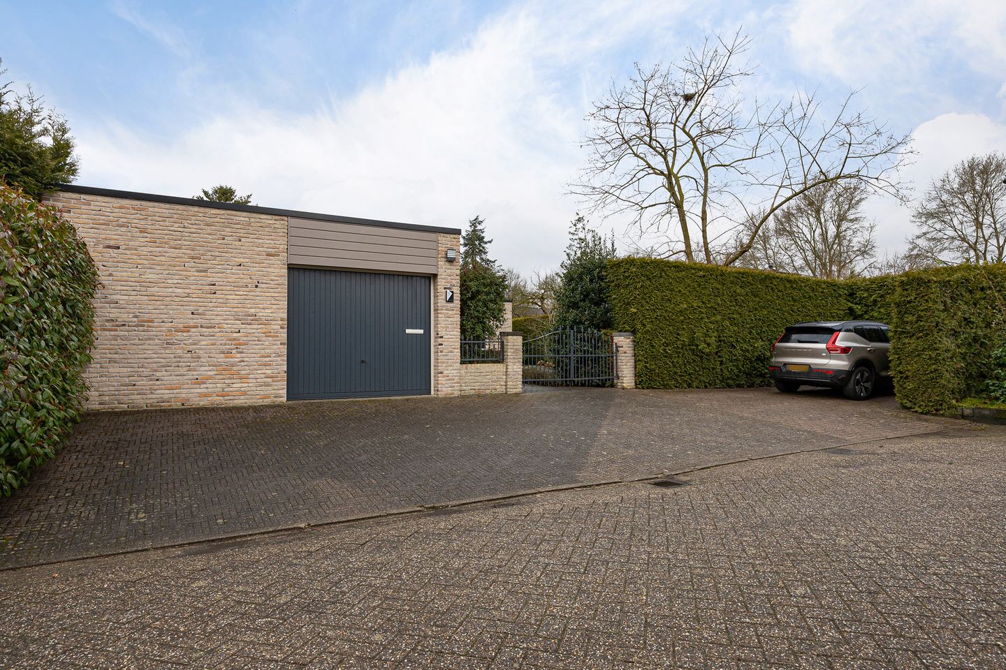 Foto 34 van Grijze Kraai 25