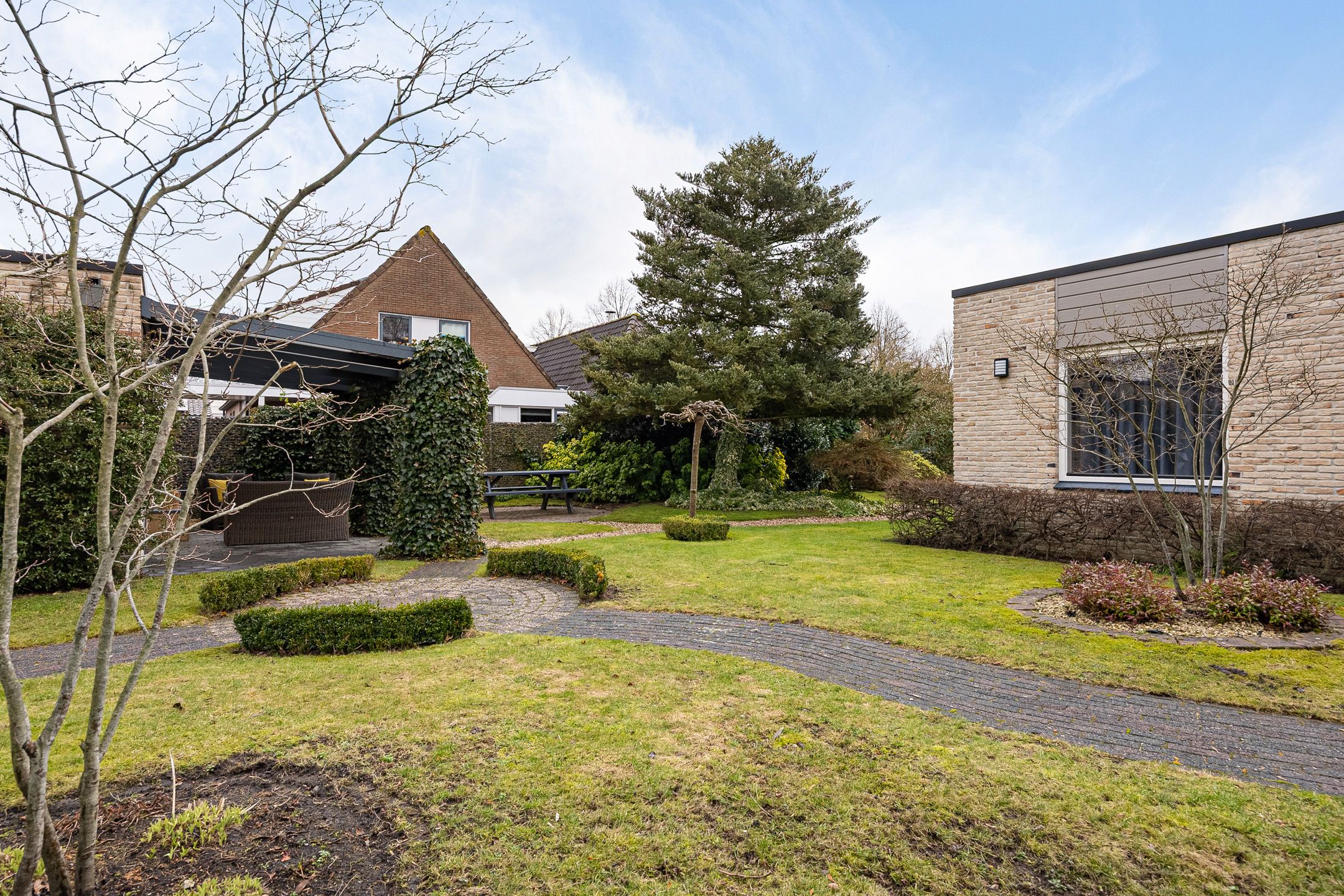 Foto 36 van Grijze Kraai 25