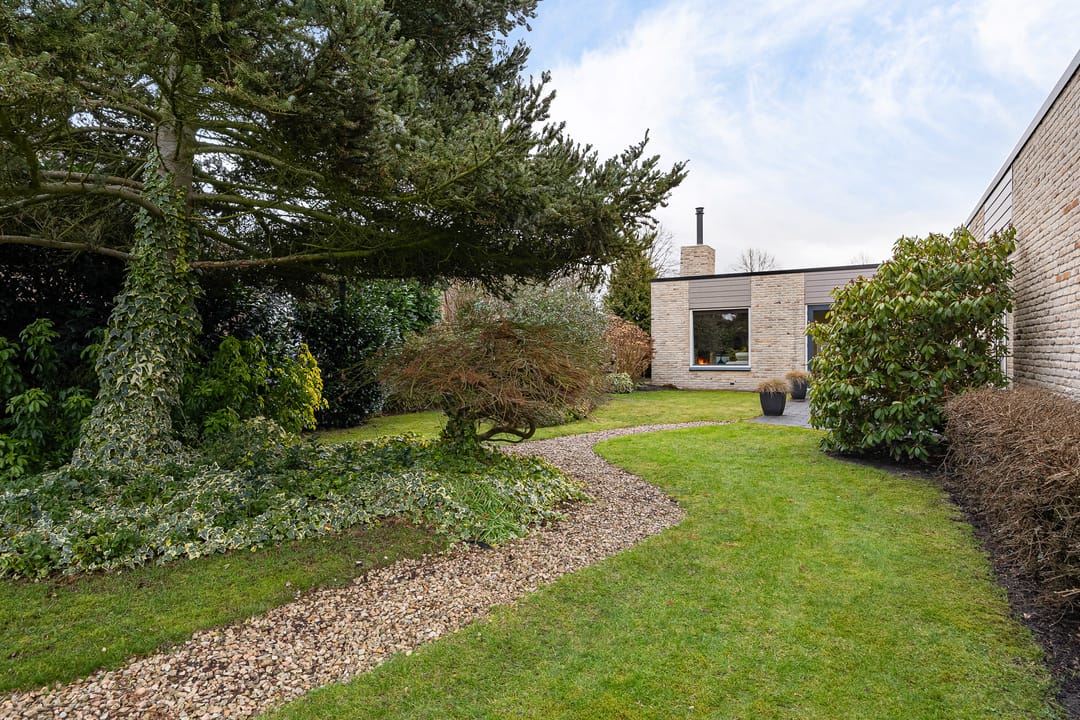 Foto 37 van Grijze Kraai 25