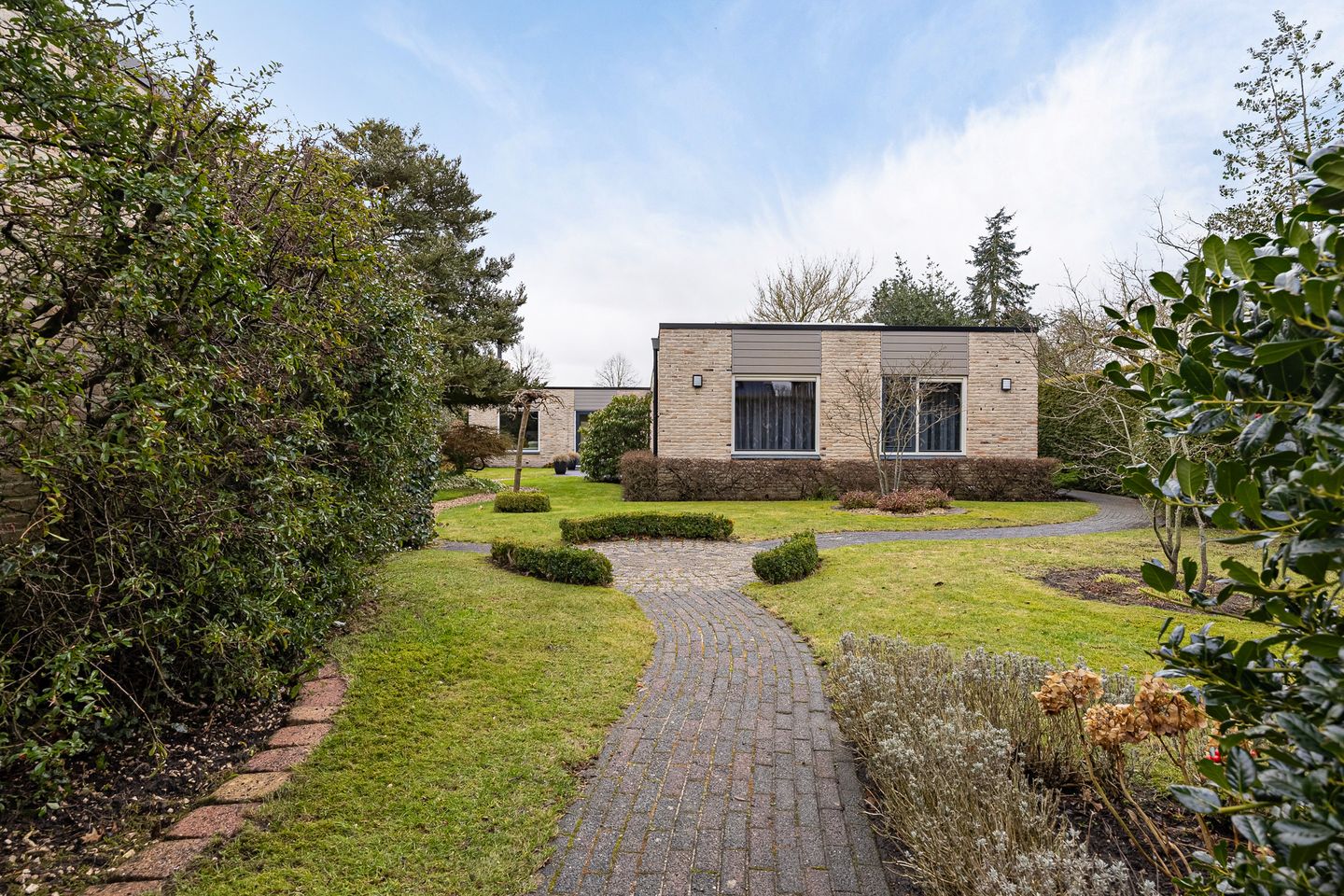 Foto 35 van Grijze Kraai 25