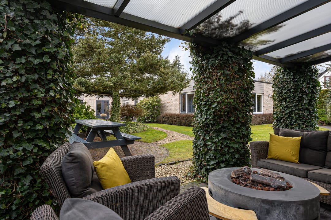 Foto 31 van Grijze Kraai 25