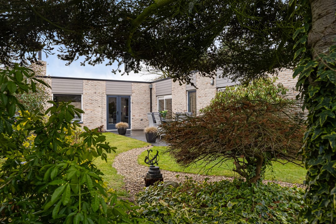 Foto 38 van Grijze Kraai 25