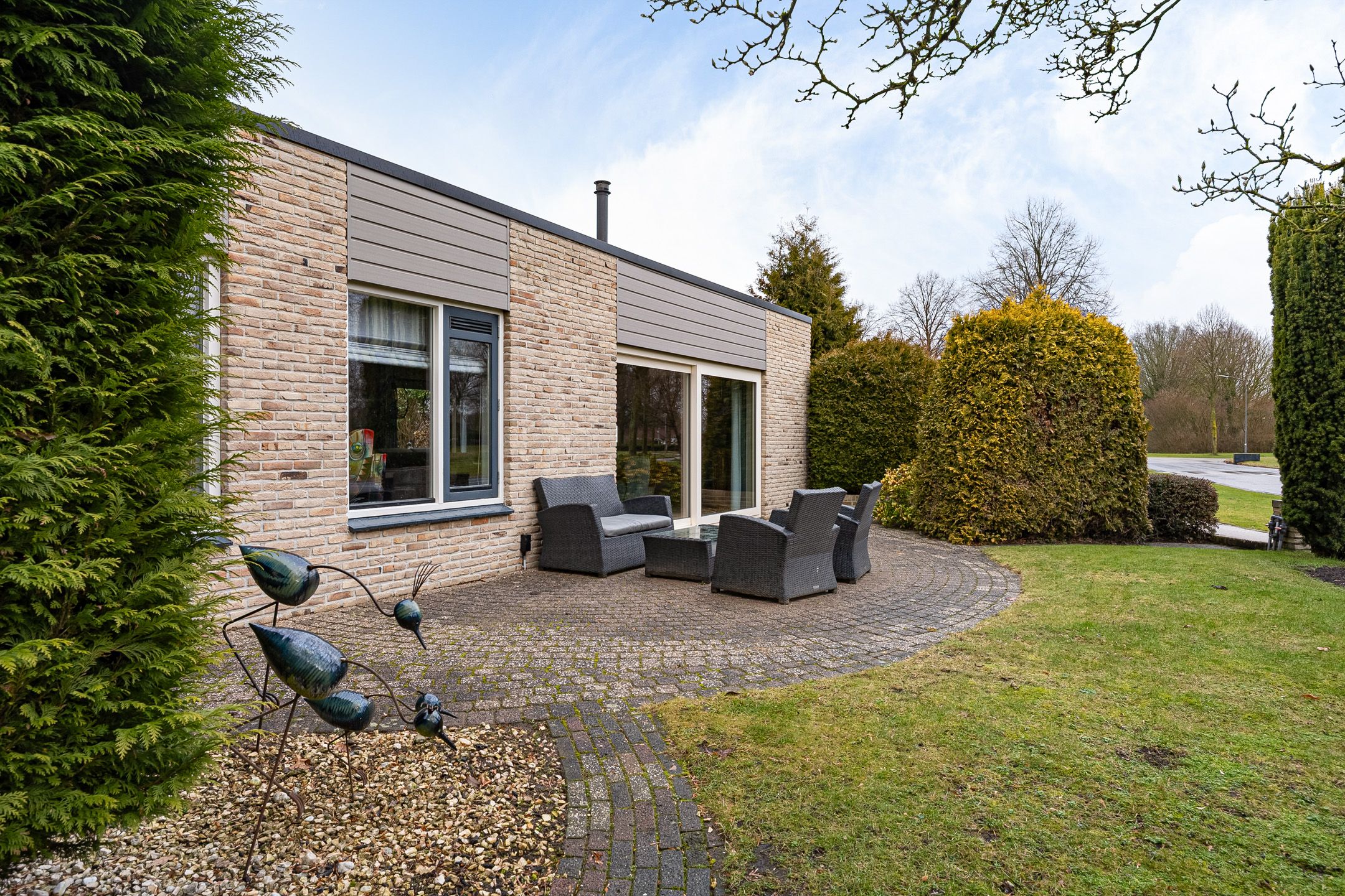 Foto 39 van Grijze Kraai 25