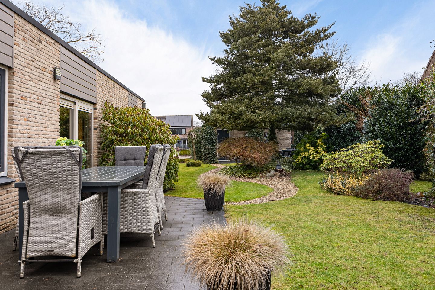 Foto 40 van Grijze Kraai 25