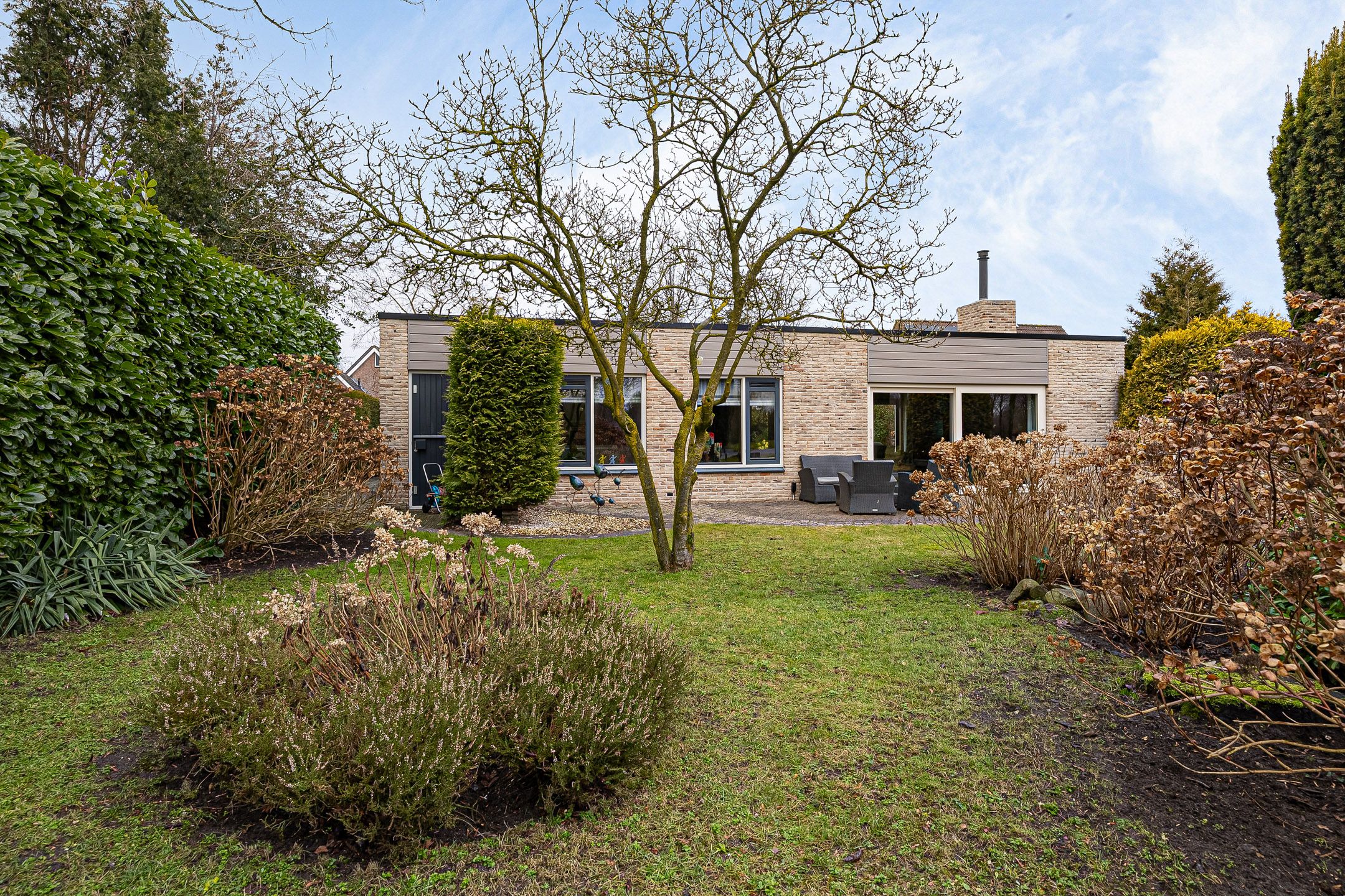 Foto 42 van Grijze Kraai 25