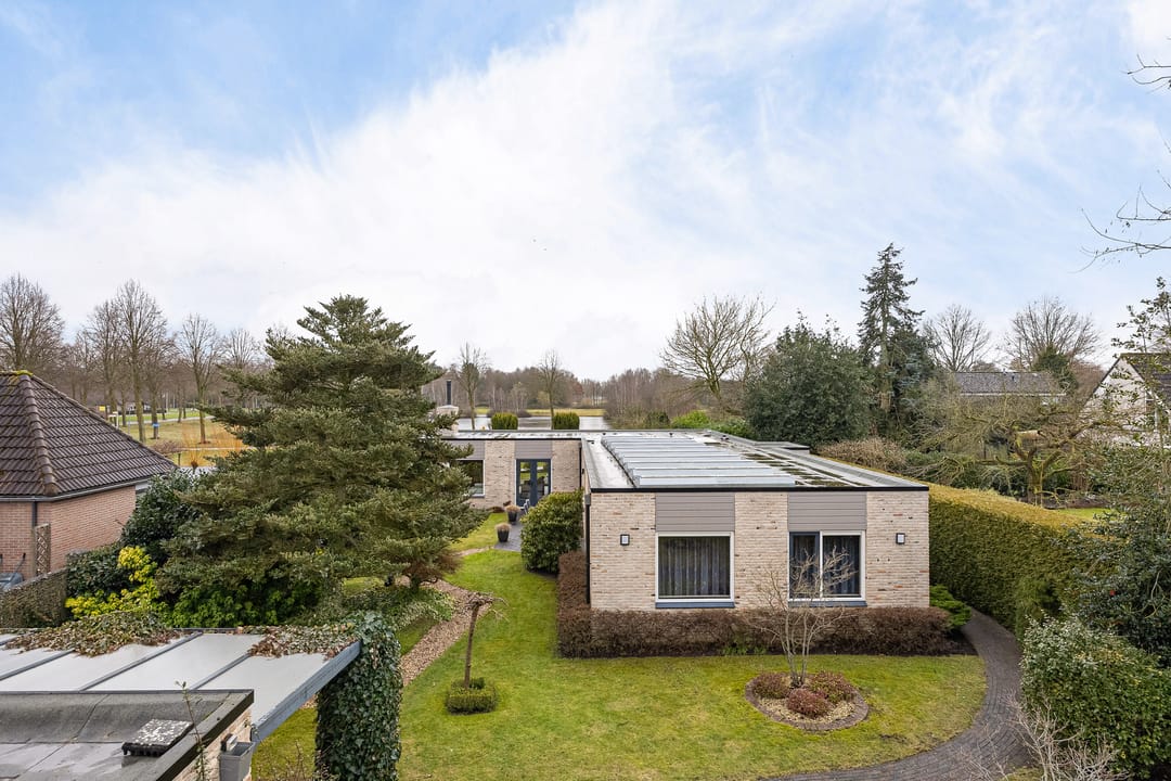 Foto 43 van Grijze Kraai 25