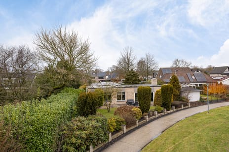 Grijze Kraai thumbnail