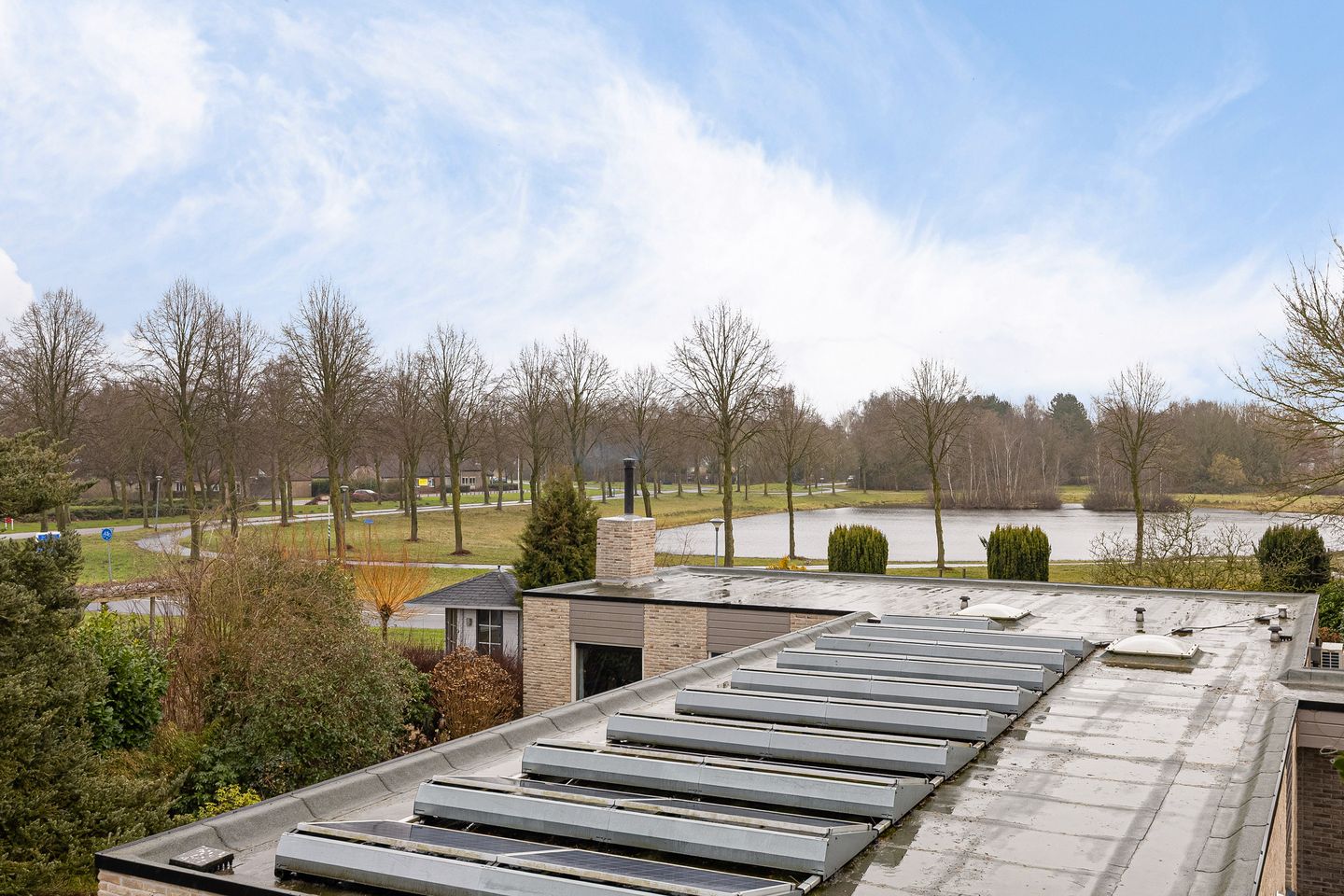 Foto 44 van Grijze Kraai 25