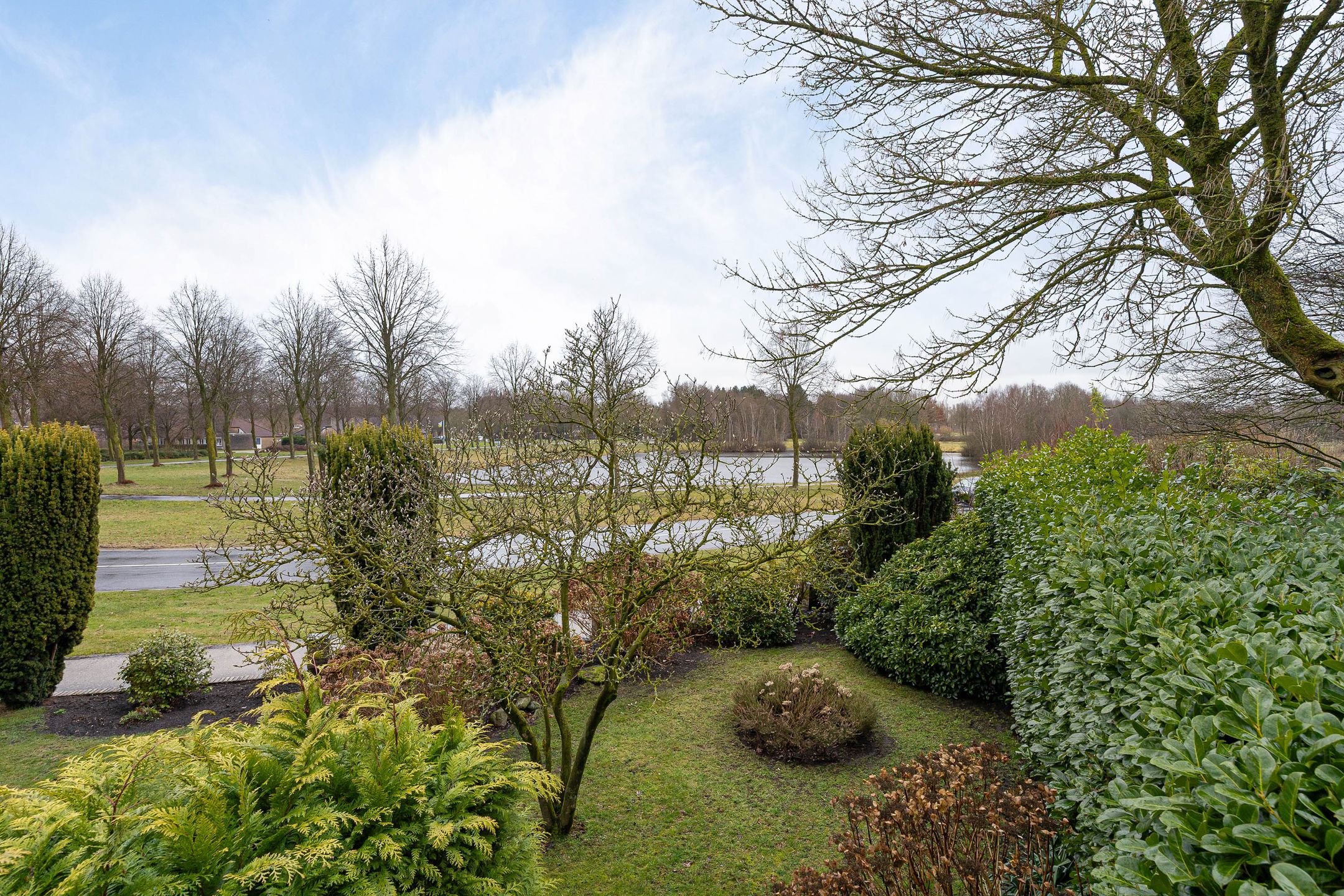 Foto 45 van Grijze Kraai 25