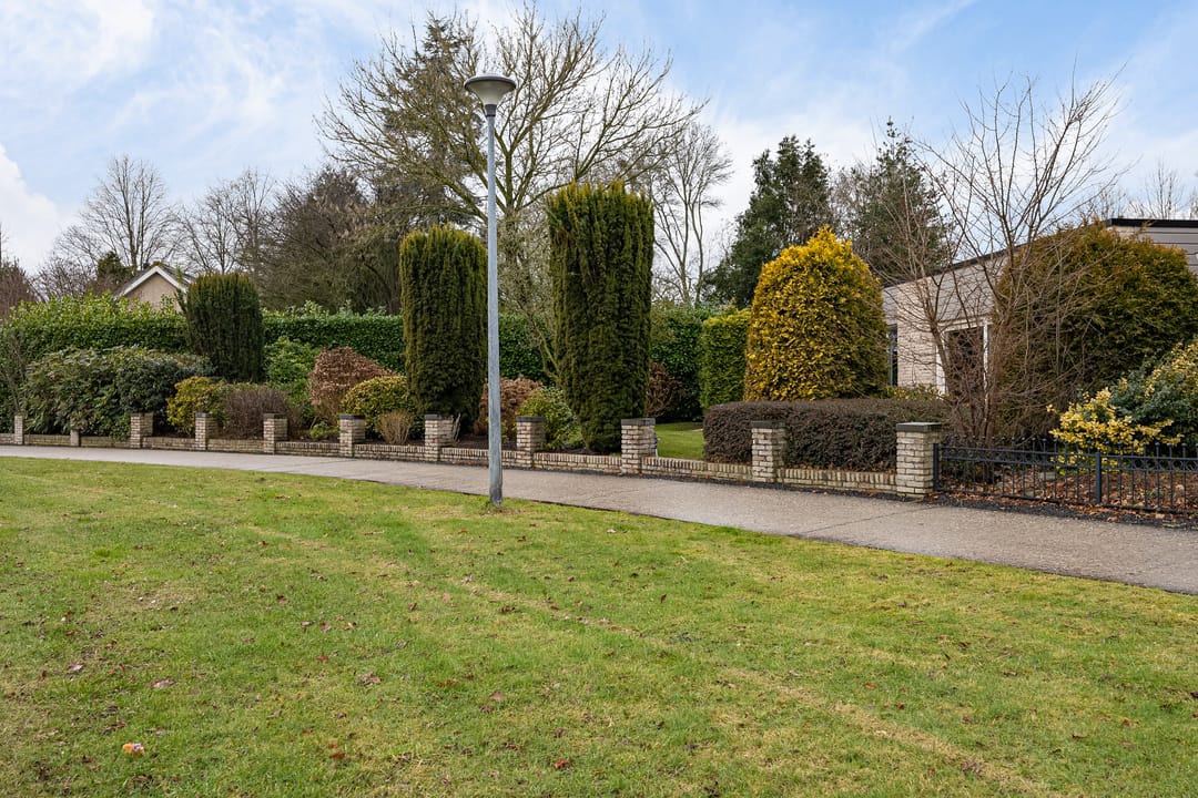 Foto 46 van Grijze Kraai 25