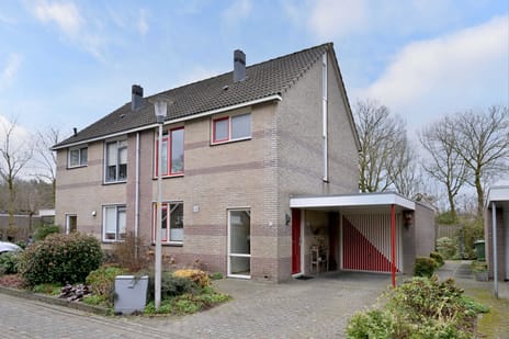 undefined main image