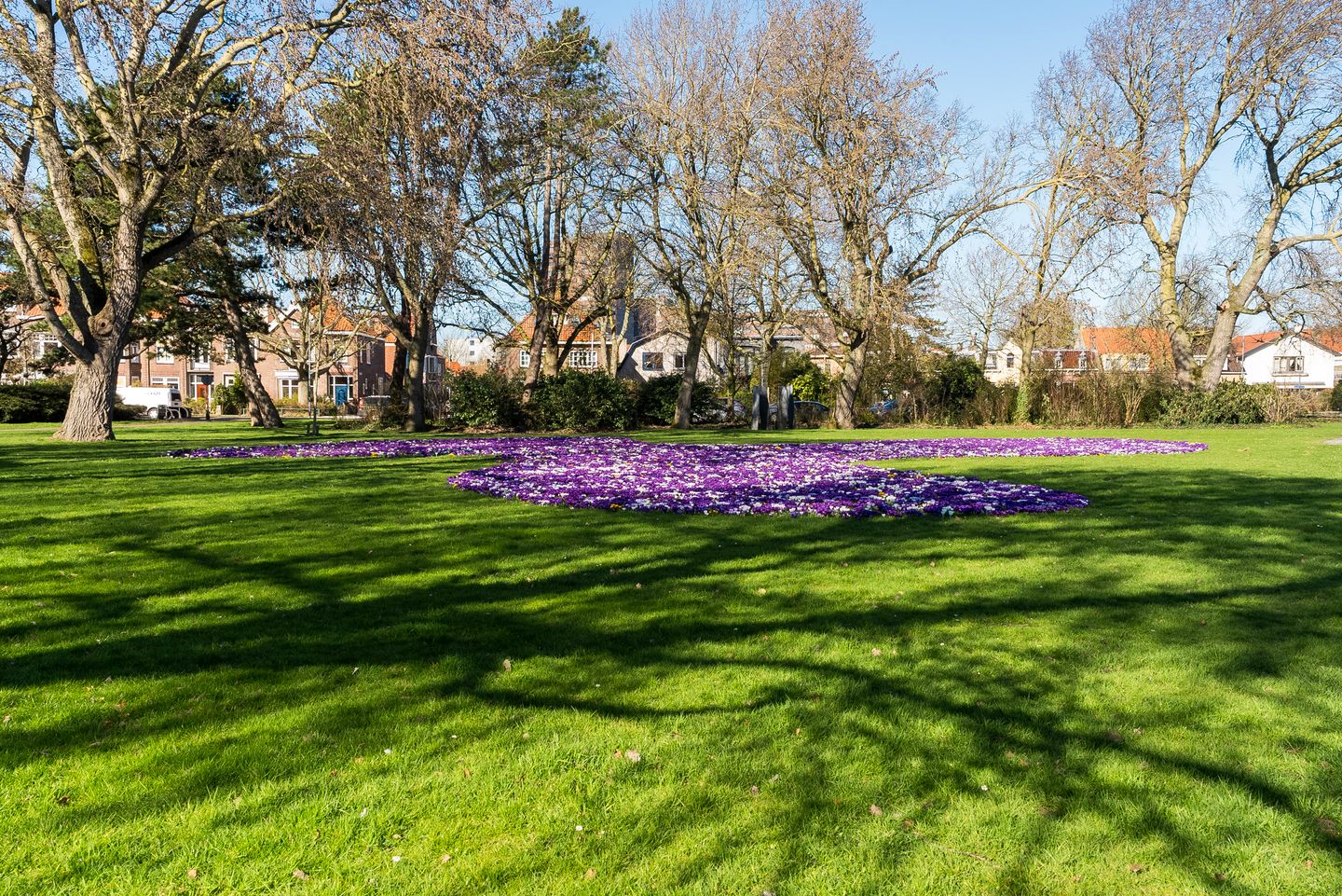 Foto 40 van Vrijdomweg 12