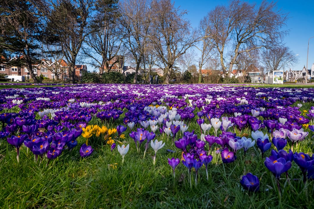 Foto 41 van Vrijdomweg 12