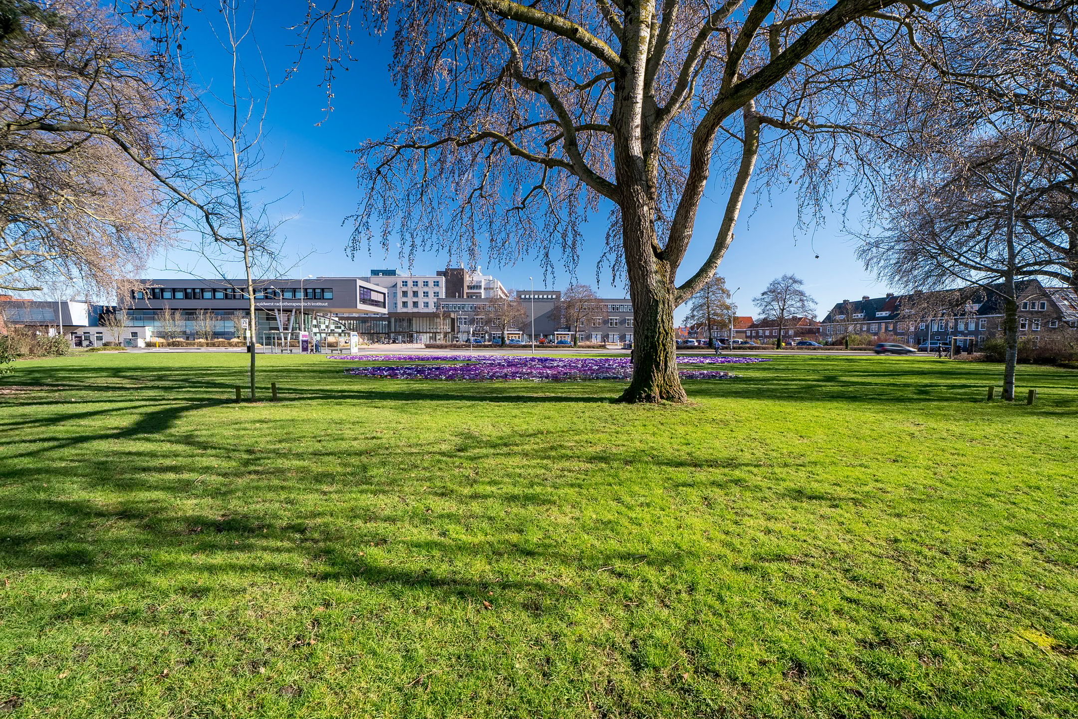 Foto 42 van Vrijdomweg 12