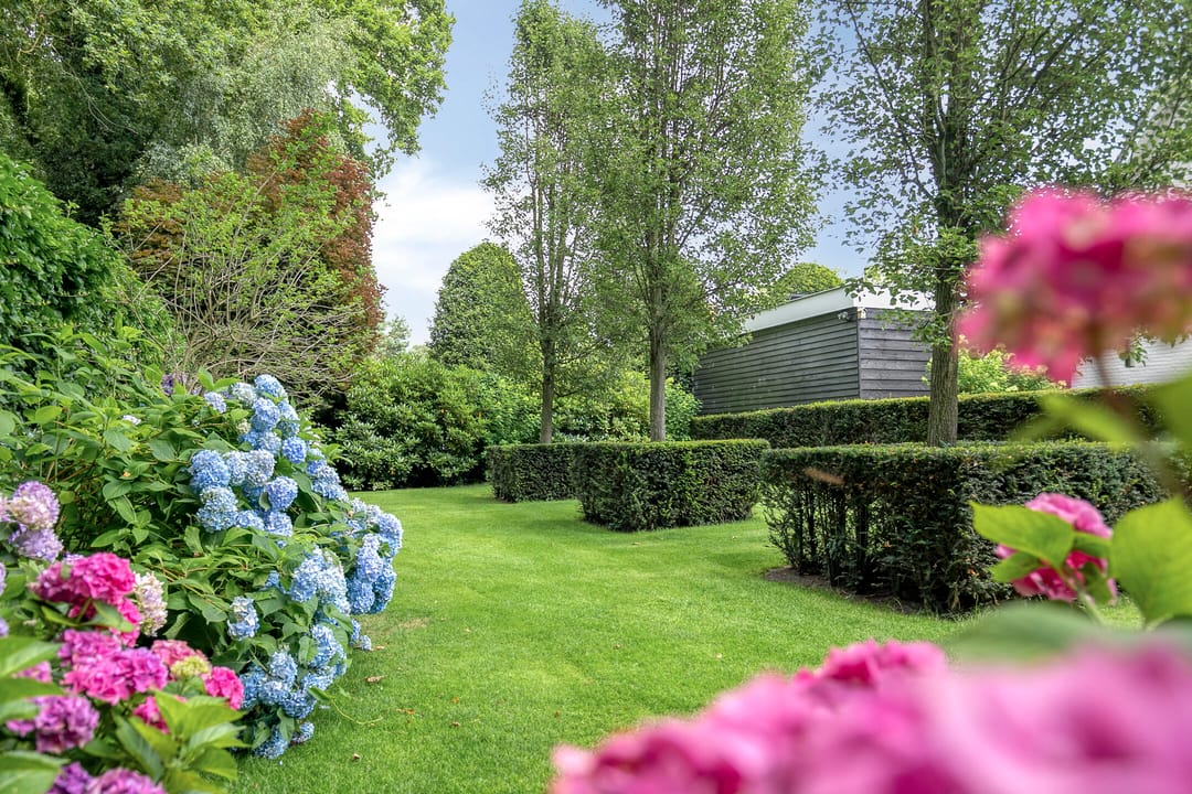 Foto 8 van van Hornestraat 15