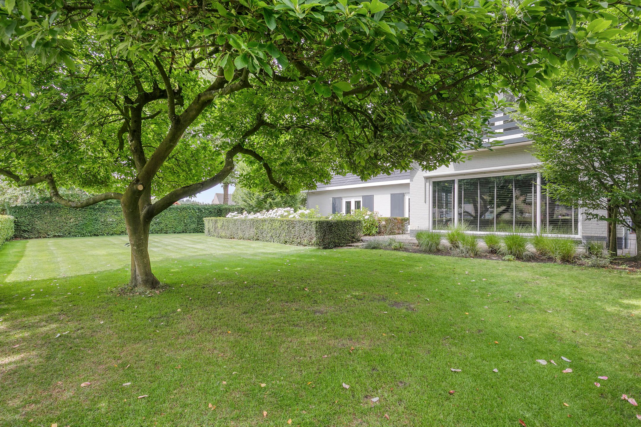 Foto 12 van van Hornestraat 15