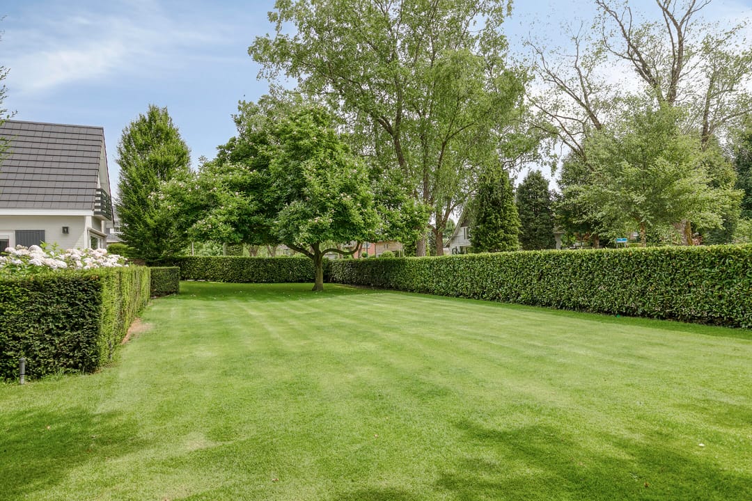 Foto 13 van van Hornestraat 15