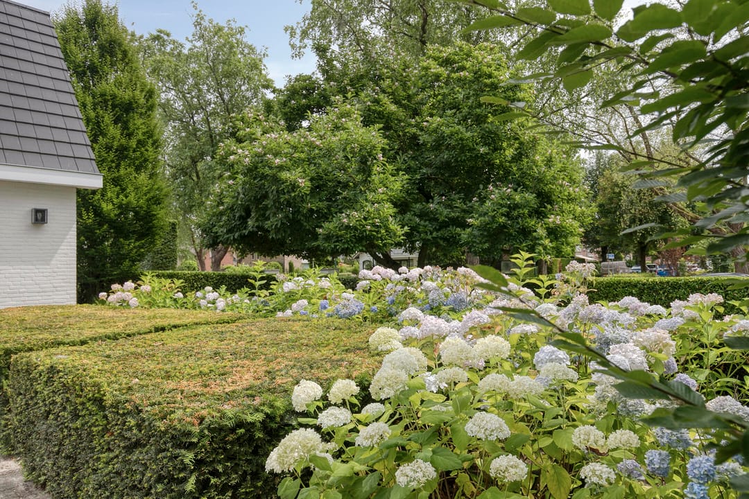 Foto 17 van van Hornestraat 15