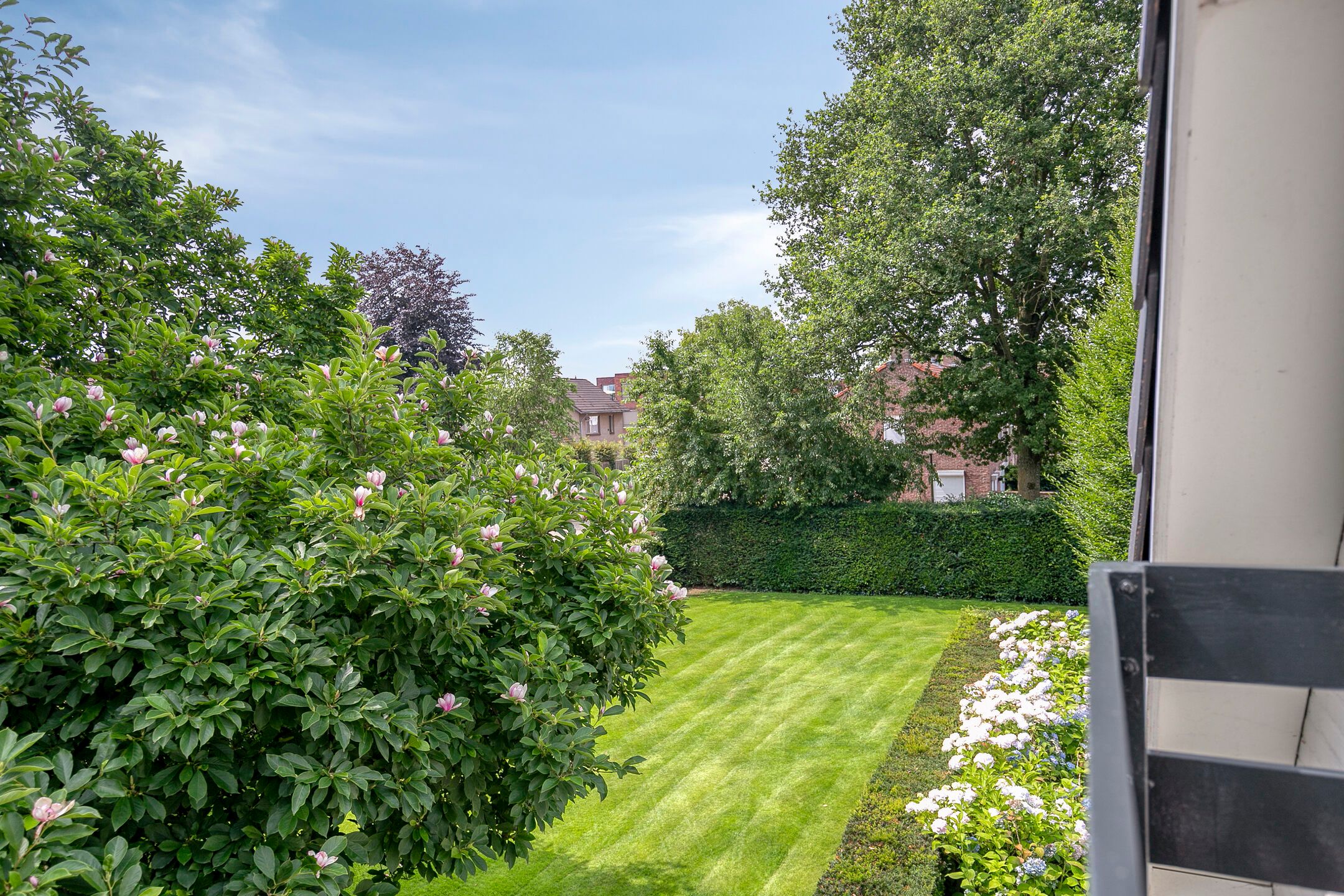 Foto 57 van van Hornestraat 15