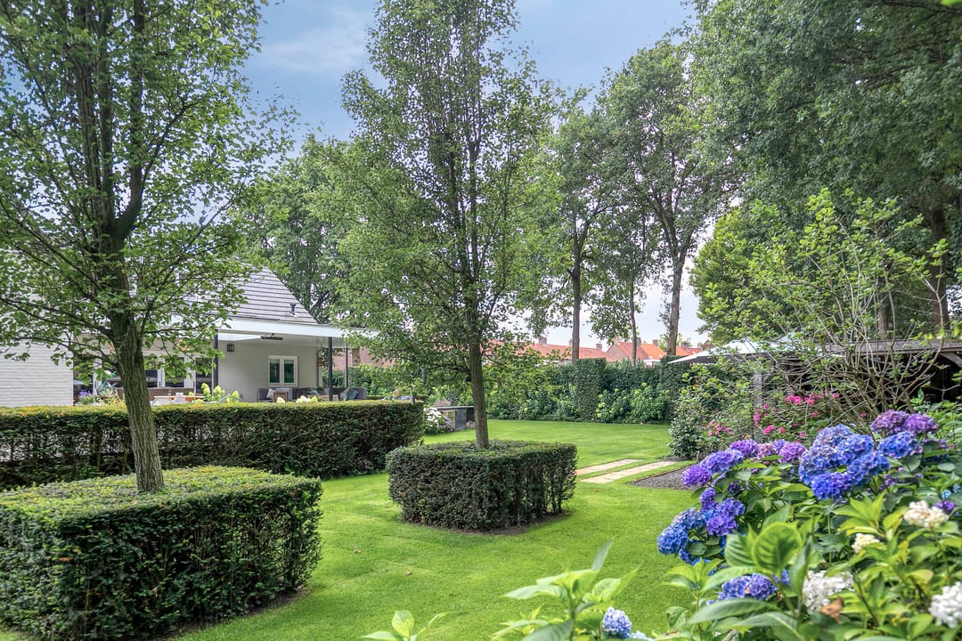 Foto 77 van van Hornestraat 15