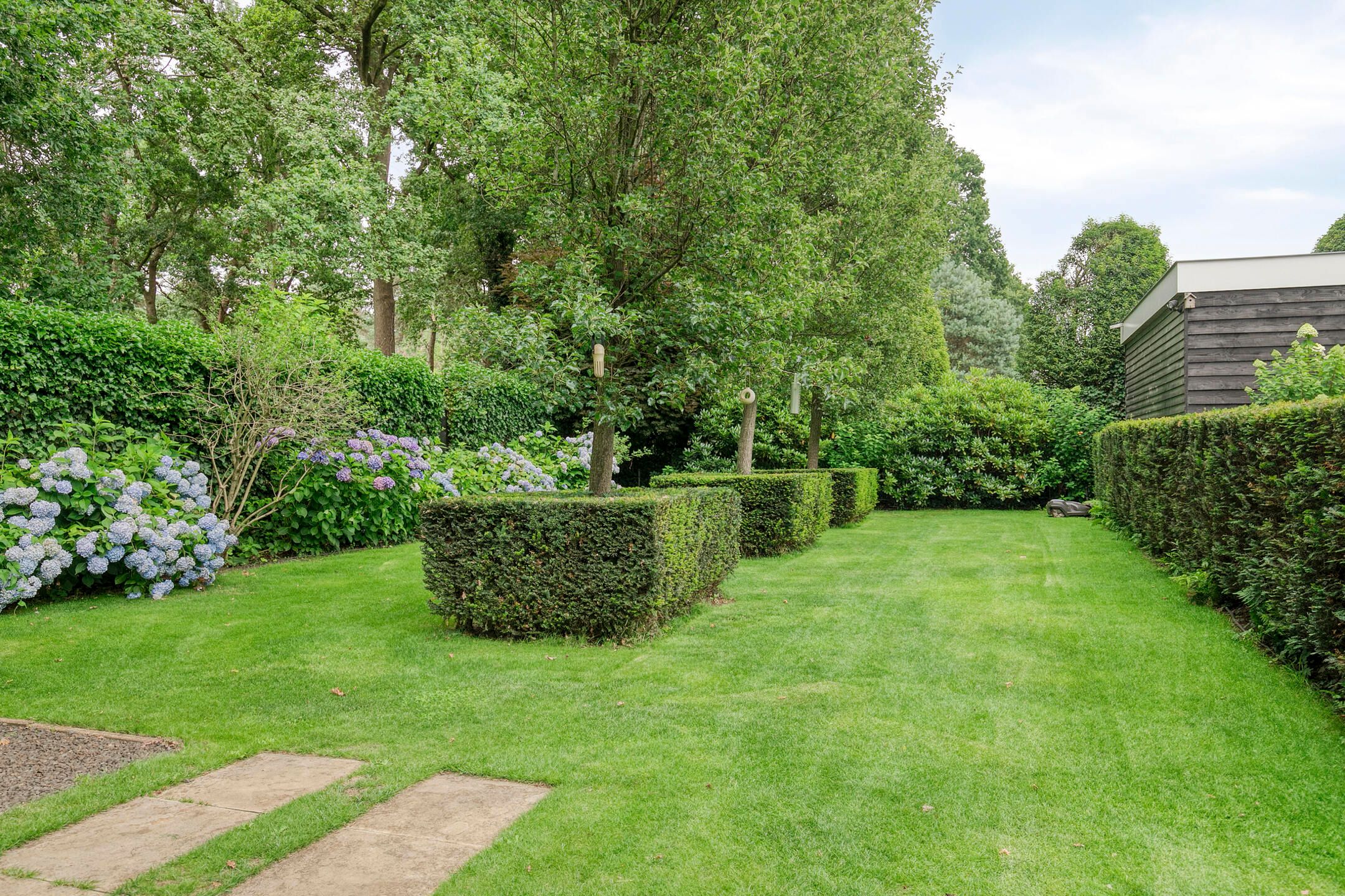 Foto 78 van van Hornestraat 15