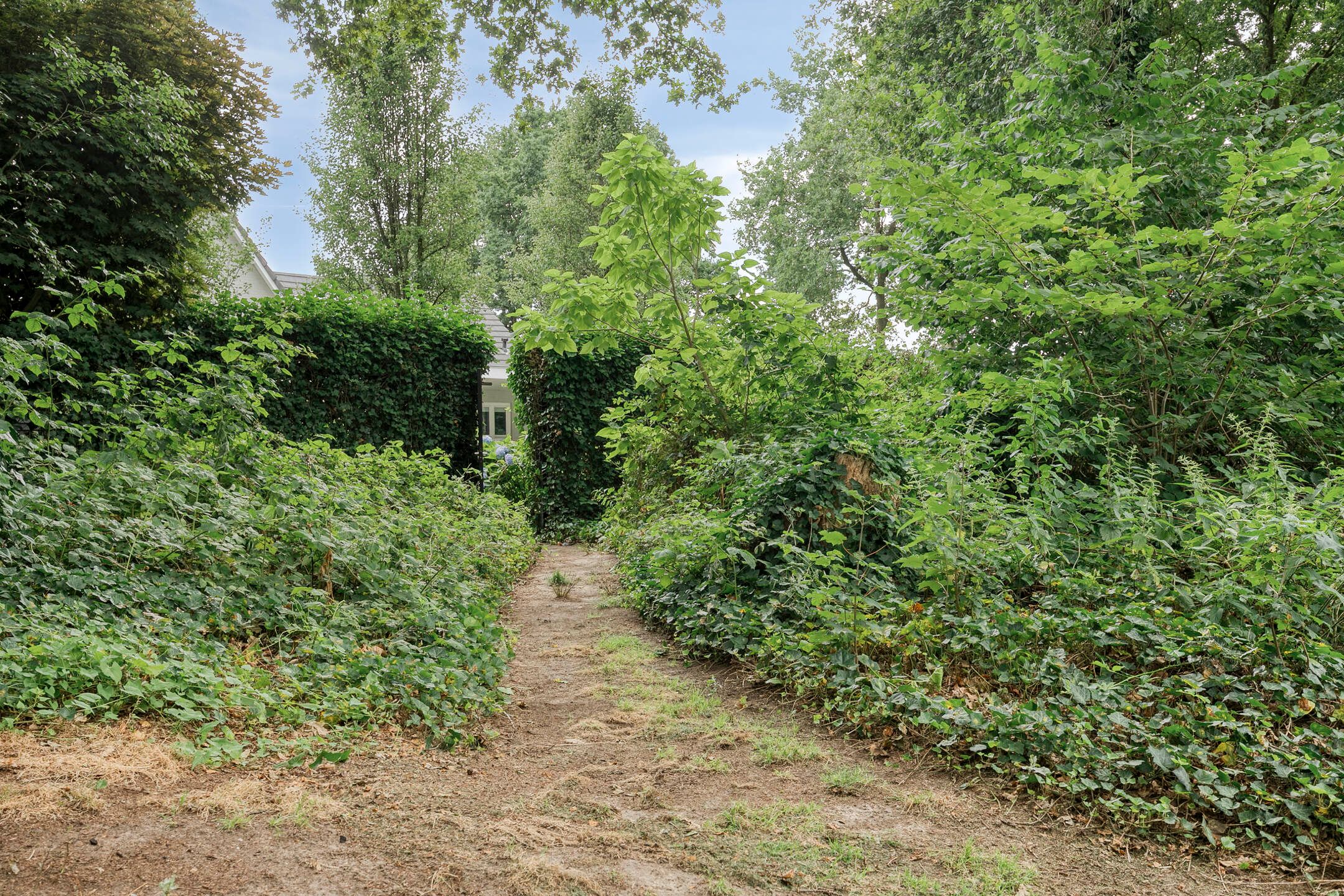 Foto 81 van van Hornestraat 15