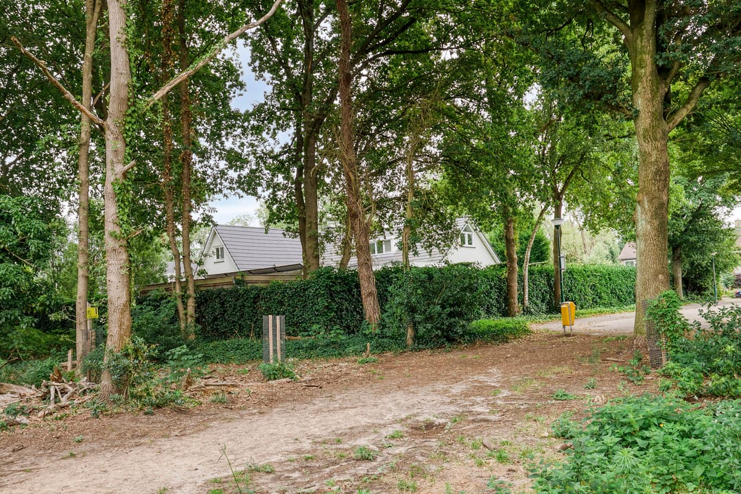 Foto 83 van van Hornestraat 15