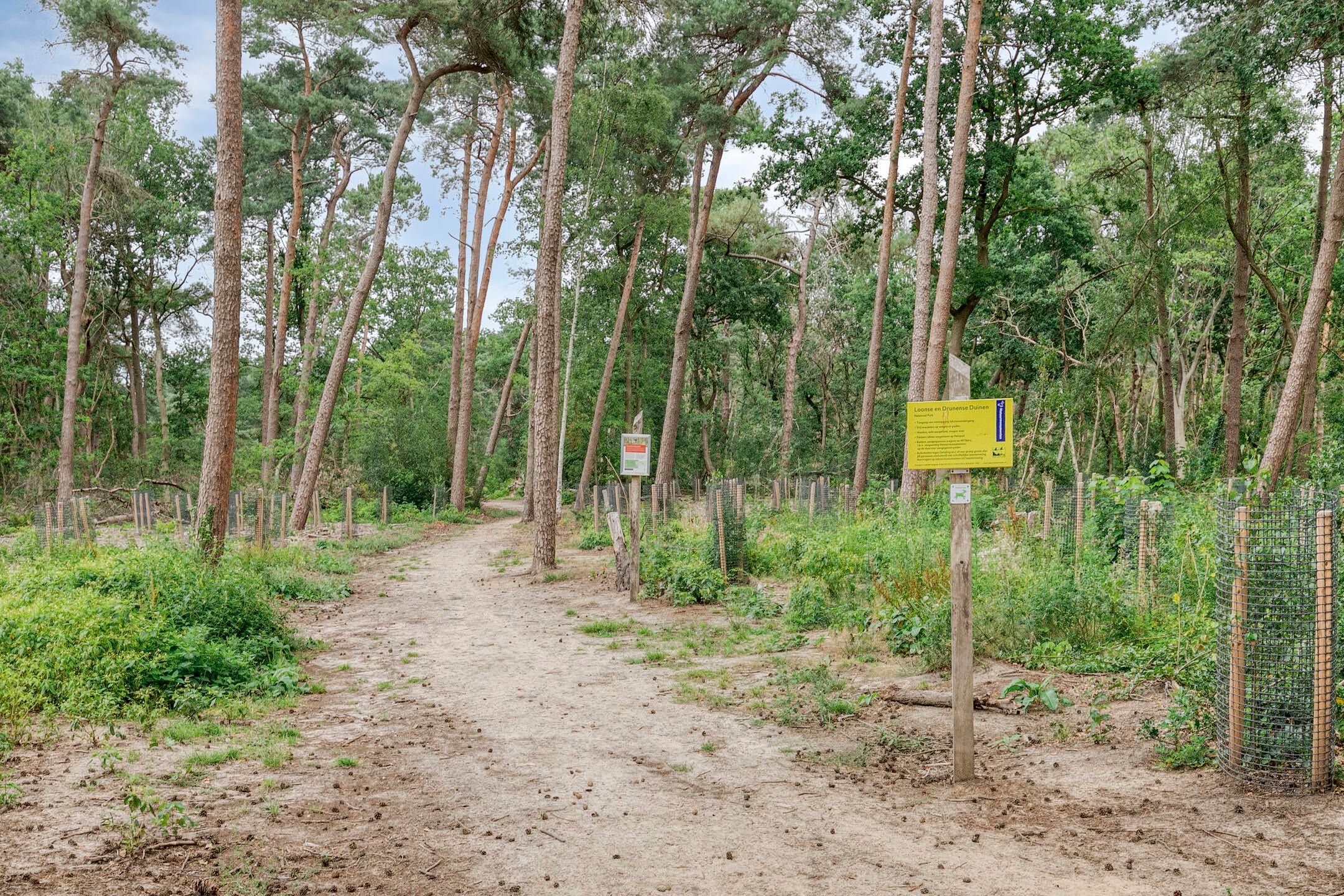 Foto 84 van van Hornestraat 15