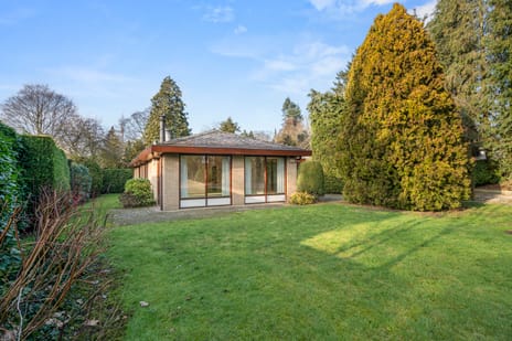 Kastanjelaan thumbnail