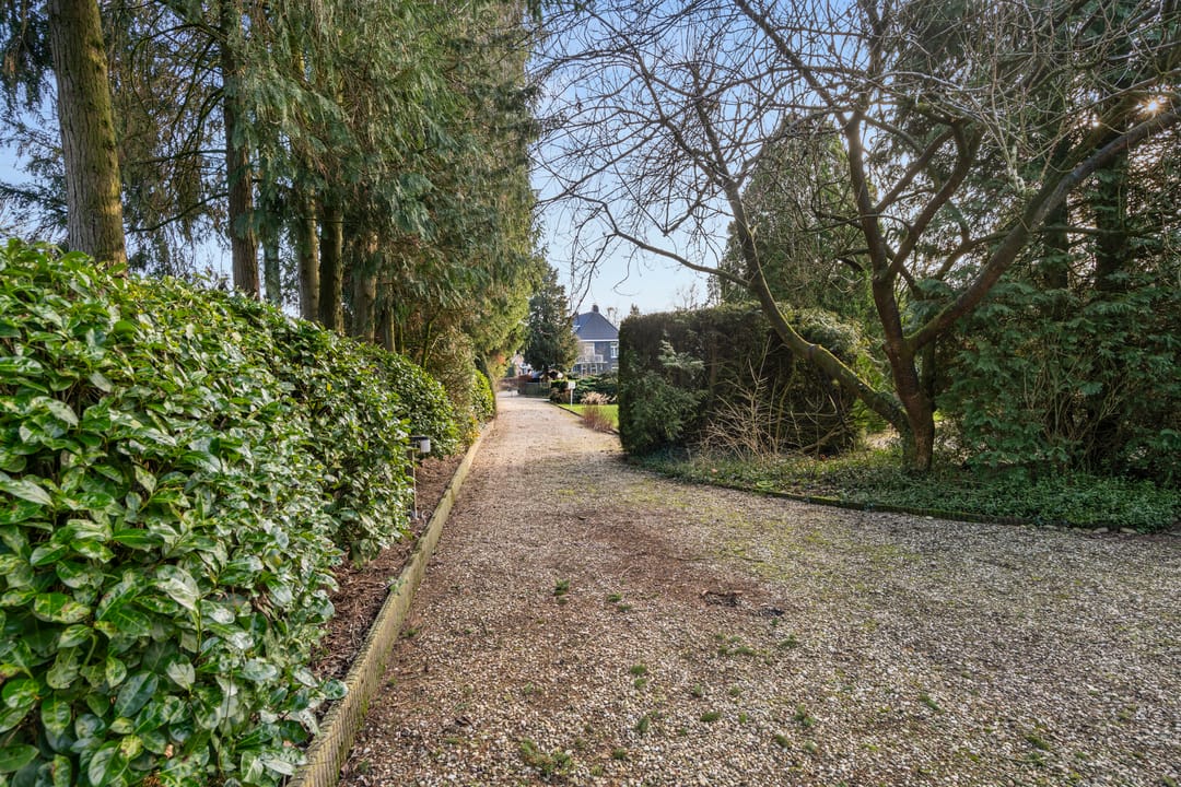 Foto 37 van Kastanjelaan 11