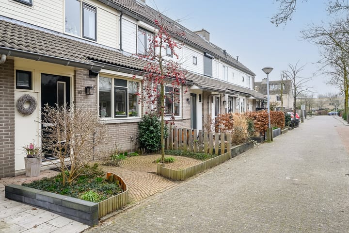 Foto 2 van Floridastroom 10