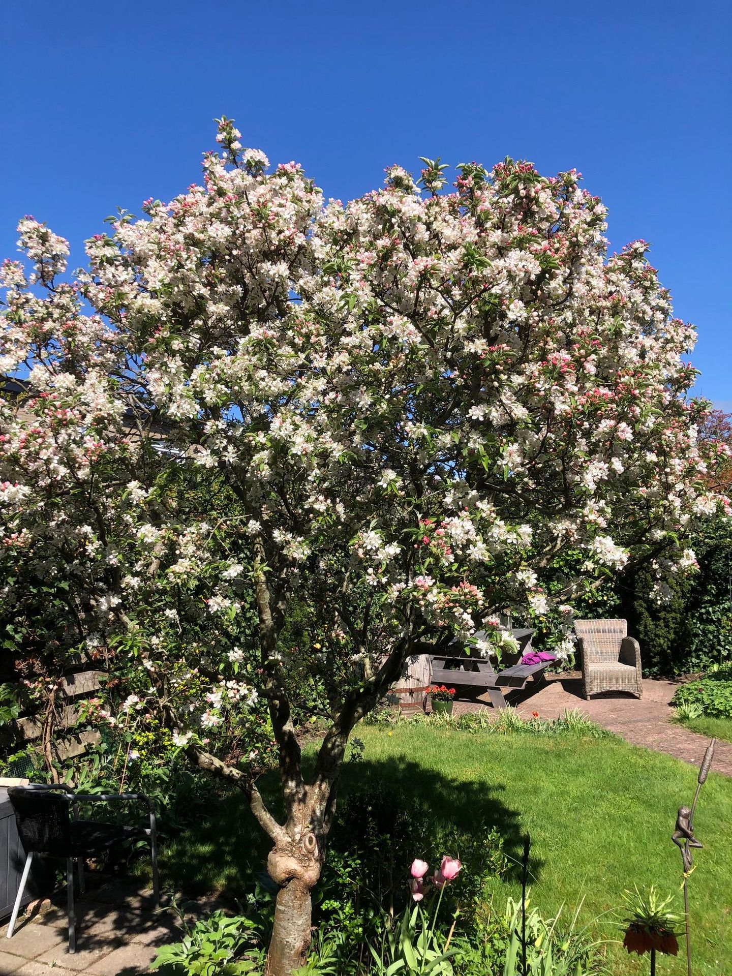 Foto 34 van Slauerhofflaan 5