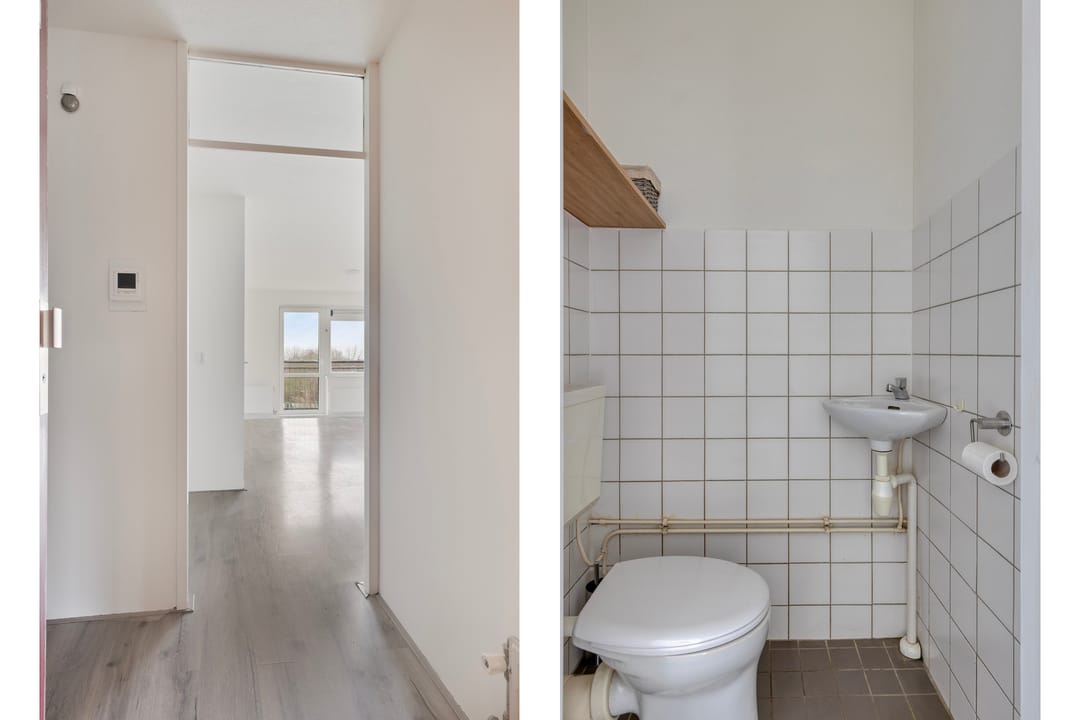 Foto 7 van Tomatenplein 48