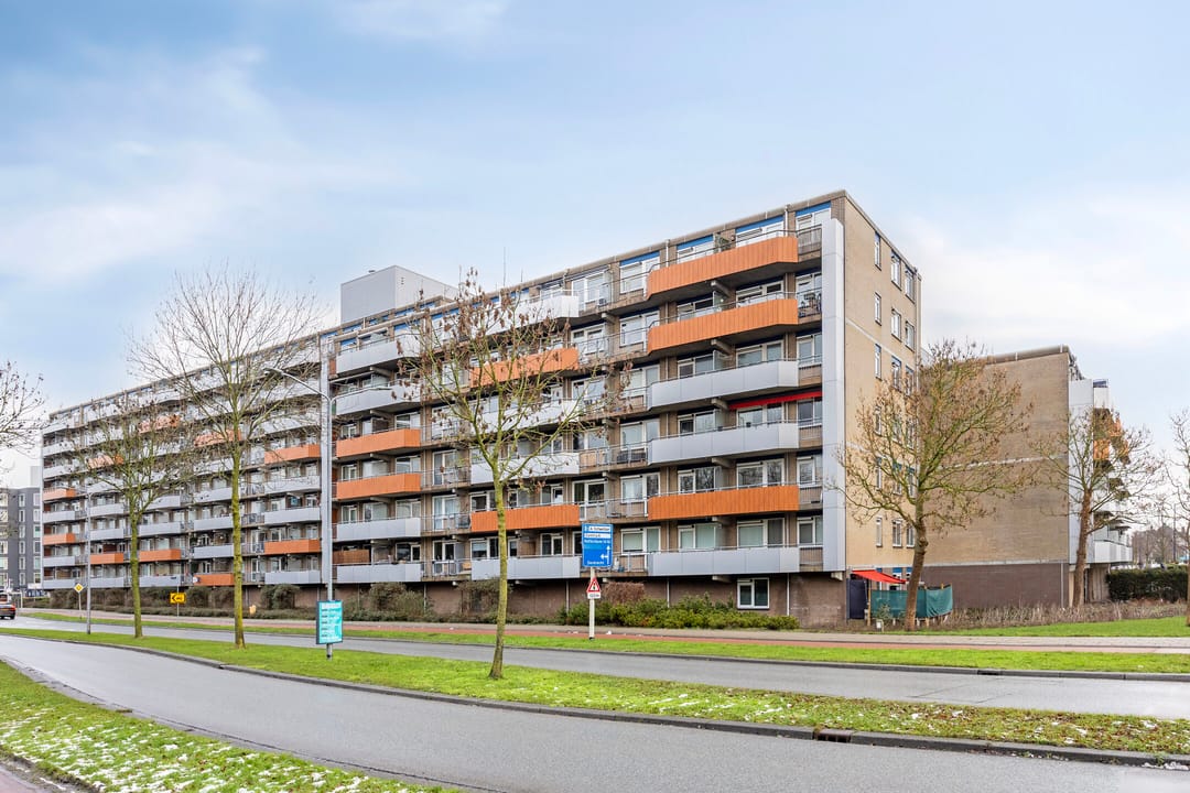 Foto 23 van Tomatenplein 48