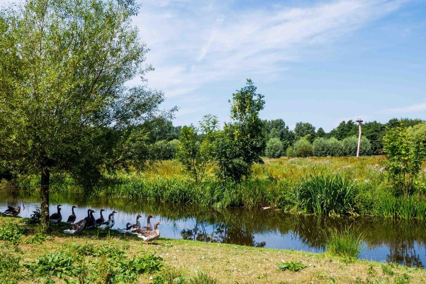 Photo 25 of Vennipperstraat 17