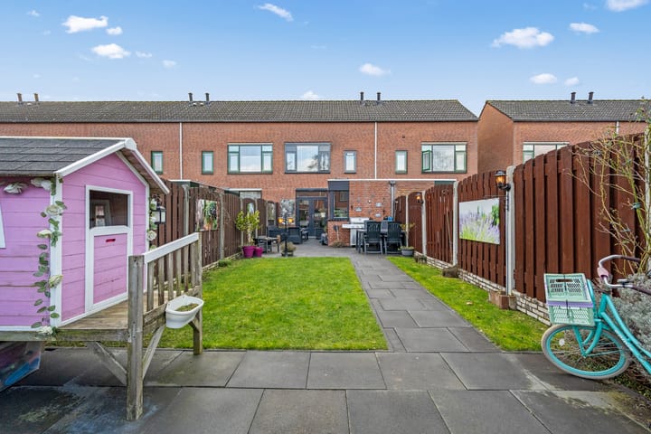 Foto 2 van Kraanvogel 12