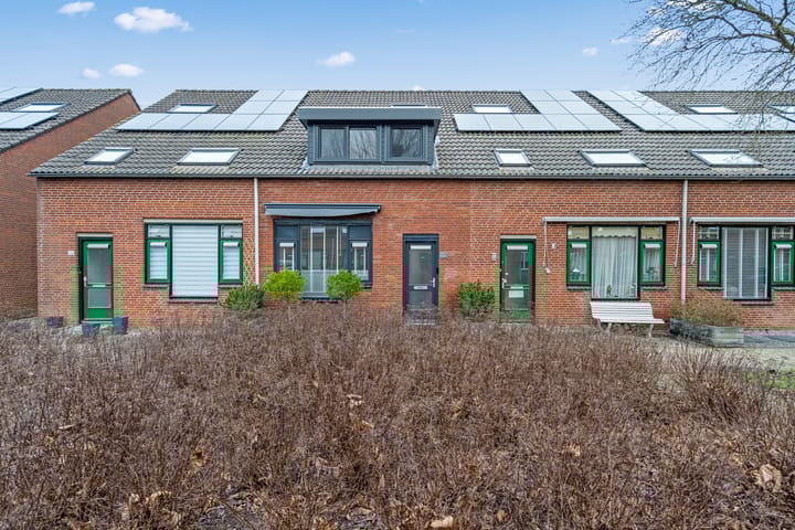 Foto 7 van Kraanvogel 12