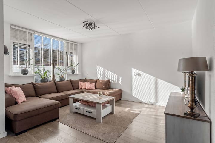 Foto 14 van Kraanvogel 12