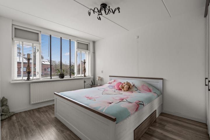 Foto 25 van Kraanvogel 12