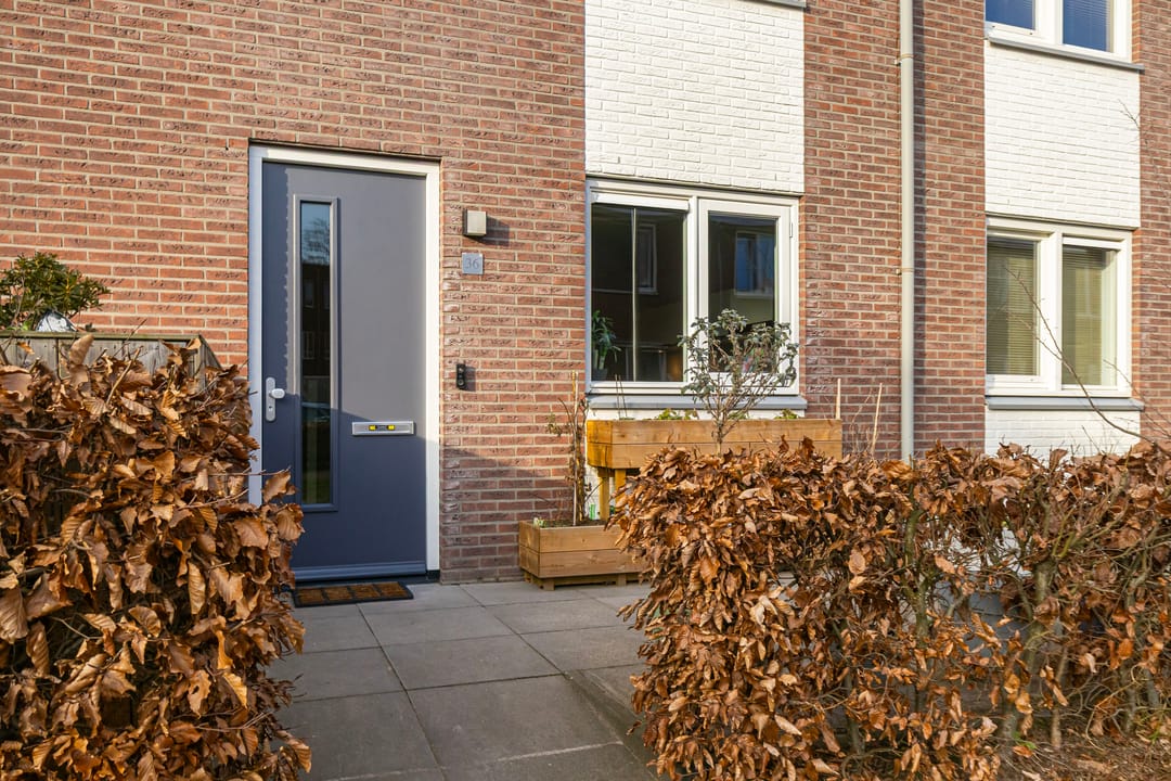 Photo 7 of Molenveen 36