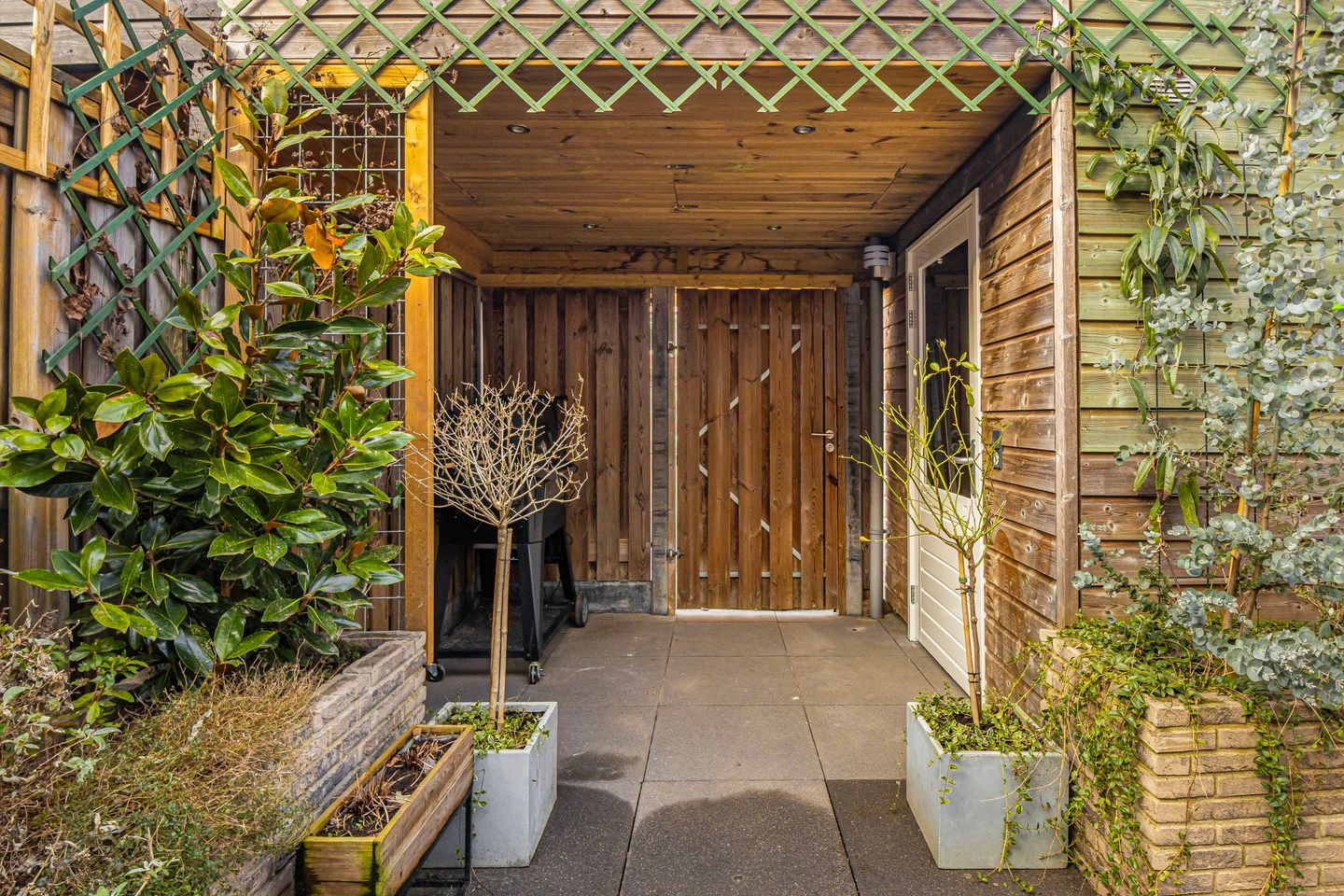 Photo 50 of Molenveen 36