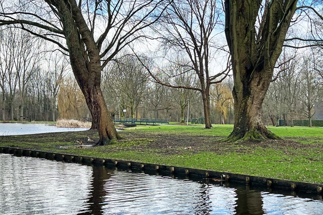 Foto 38 van Schumannlaan 8