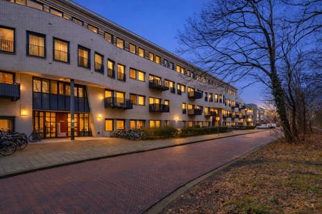 undefined main image