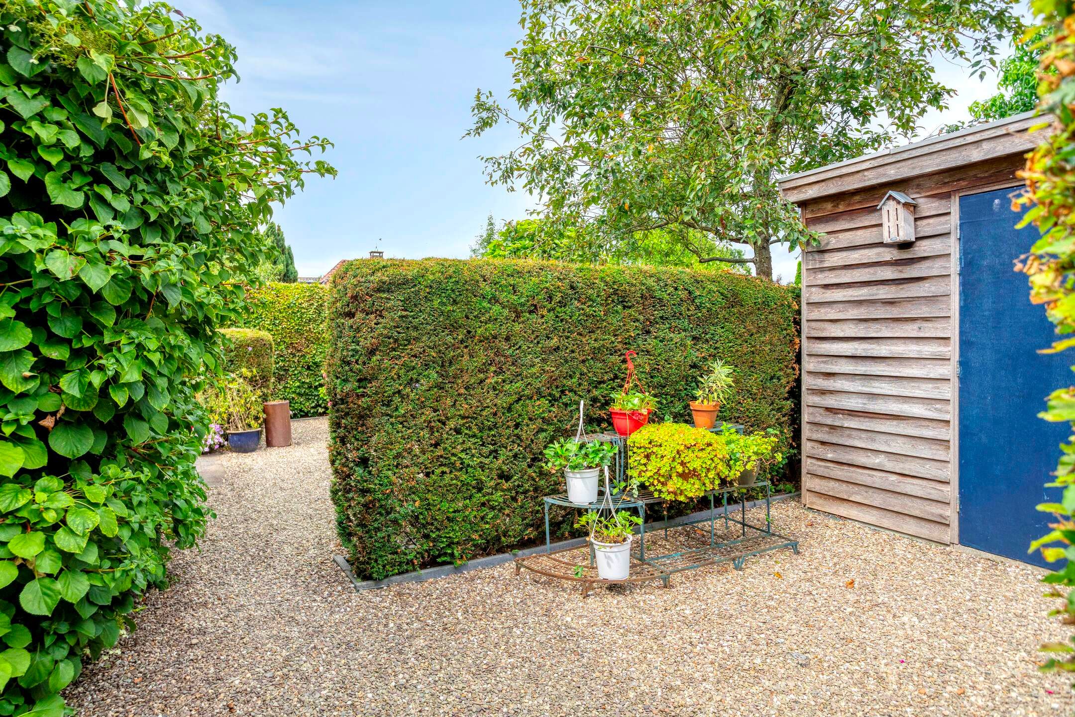 Foto 48 van Brandenburg 1