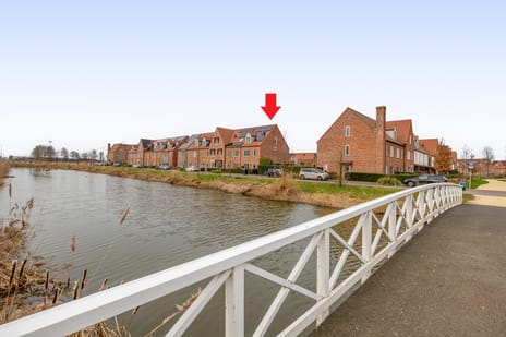 Palissanderhout thumbnail