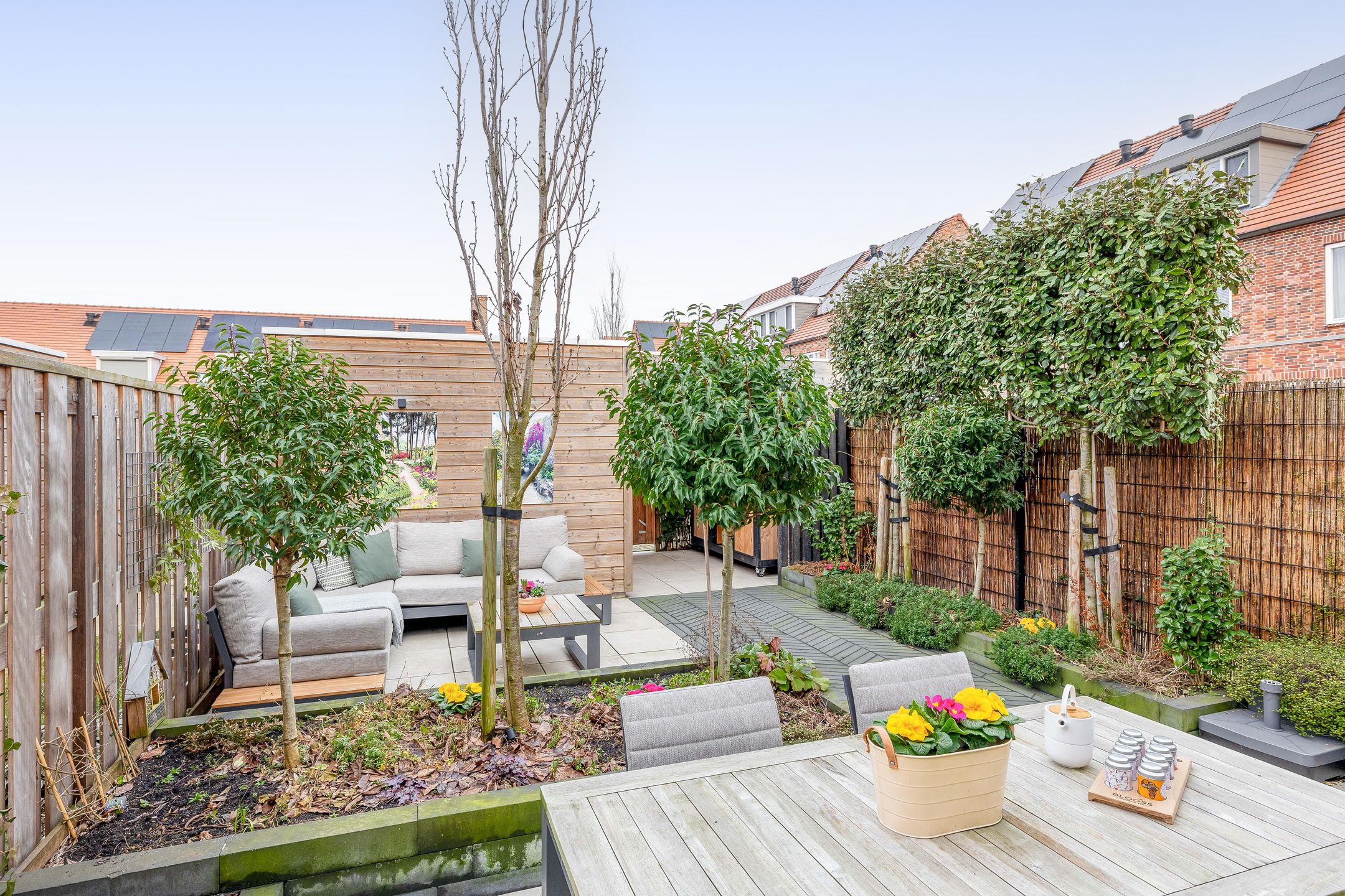 Foto 3 van Palissanderhout 28