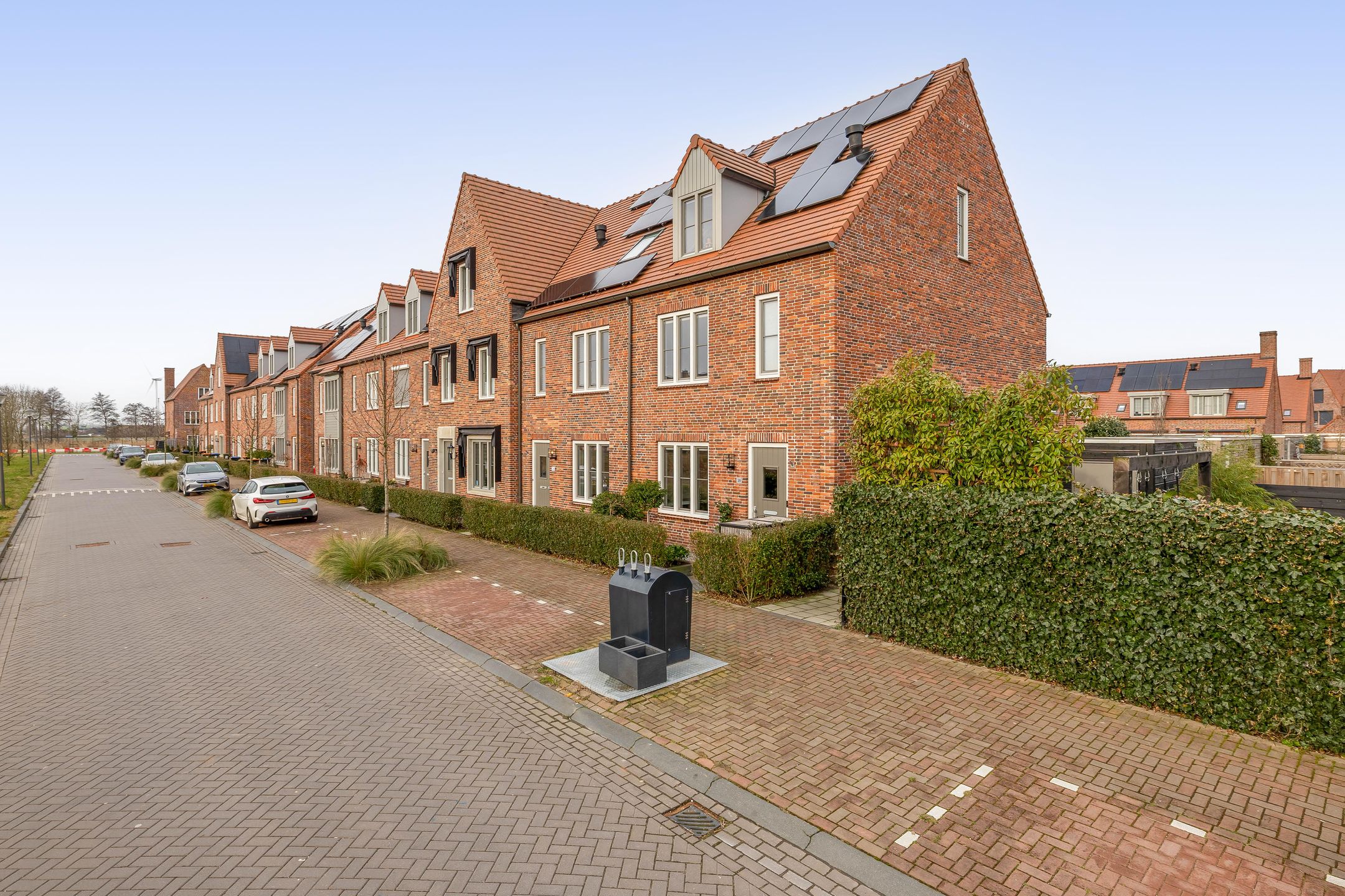 Foto 6 van Palissanderhout 28